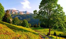 哪些球队名称和口号能够展现强烈气势？