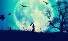 25个描写月光的句子，让你沉浸在清凉的夜晚和皎洁的月光的美丽之中