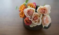 用更为挑逗性和刺激性的语言来表达的口号