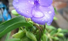 诸多关于你的句子，总能成为让我无上愉快的原因