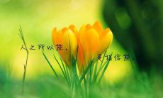 如何在二月12日用温暖的问候短信表达你的情感？