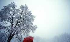 十分失望的措辞，让你对某个人彻底失去信任和希望