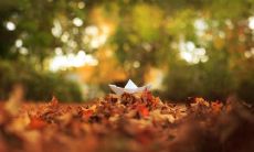 细腻动人、充满真情，致敬亲情的温馨家宴：颂扬家庭的温暖、感恩亲情的美好时光