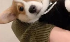 一连串让人感到极度惊恐与痛苦的句子，深深散发着沉闷、无助与绝望的心碎话语