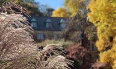 十分快乐、愉悦无比的语句，洋溢着欢乐和幸福的感受！