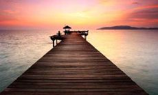 用动人的语言表达银杏的美感：在秋日里迷恋银杏，欣赏优美的句子