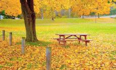 在每周一紧张愁眉的开始，送上专业的业务短信问候语，为你和你的团队打气！