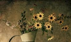 通过勤奋努力赚取财富的豁然开朗且鼓舞人心的革命性语句