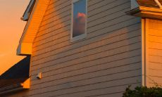 通过励志短句激发正能量、推动前行的积极力量