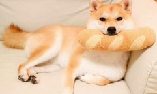 让朋友圈更加欢乐的妙语连珠：分享一些幽默风趣的句子，放心开心一下吧！