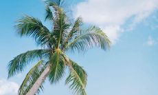 享受瑜伽带来的宁静与美妙，沉浸在身、心、灵的完美融合中，感受真正的开心！