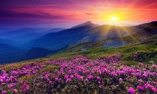 美容师通过短信送上温馨问候，为客人营造美好体验！