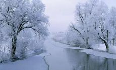 描述大雪节气的句子，描绘积雪封闭的景象，以及人们应对严冬天气的种种方式