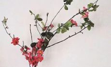 不管多累，也会一直开心的滋味时常袭来