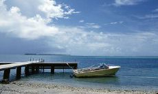 向女朋友发短信询问用餐情况的寒暄之词