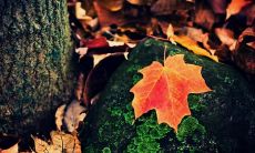 探讨快乐人生的启示：温馨劝勉暗淡心情的问候，让你一同追求幸福的名言语录