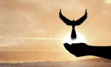 一个人的成功与否在于细节，细节决定成败的流言不胫而走