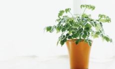 如沐春风：形容一个人非常开心的比喻句子