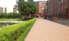 母校发来的问候短信：一种温暖而持久的联系方式