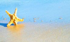 精选经典的情话，适合与心爱女友共同品味和解读感情的浪漫时光