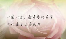 尝试向心爱之人表白时，深感心碎之痛的句子集合