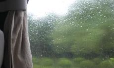 表达对某个特定个体在某个具体情况下所产生的失望感受的句子