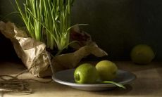 感恩父母的浓浓爱意：感人唯美的父母亲情短句与句子