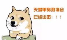 单身狗的情人节想说的话语：表达爱与自爱、拒绝社会压力、享受自由与独立！