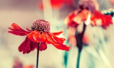 百句欢乐人物神态描写大全，赋予表情开心的句子一揽子