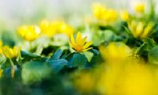 在家庭中最让人心碎、无力的话语：亲情之间最令人痛心的句子