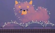 用于表达爱情的土味情话句子