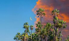 一份包含大量元气满满的正能量句子，可促进积极思维和增强生活信心的丰富合集