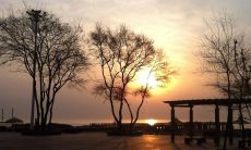 分享早晨幽默短信，让你的爱人开始美好一天！