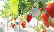 的使用方法和注意事项，分享一些微信技巧和实用小神器，帮助你更高效地使用微信！