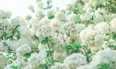 被亲情感动到泪流满面的引人深思的句子之感受亲情