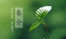 探究春分节气的美妙之处：一组关于春分节气的优美诗句