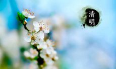 古代文化遗产中与清明节相关的祭祀和感恩主题的诗词精选