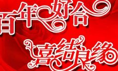 精选的唯美句子祝福新人步入幸福的婚姻生活