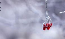 冬至怀秋，寒夜赋诗——探寻中国文化传统中冬至的诗句之美