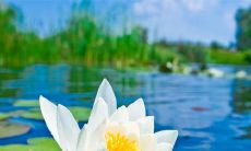 以欢快踢球让人心情愉悦的表达为题