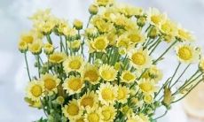 2021已过去，2022迎来，让我们共同传达开心与喜悦的句子！