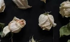 在沉闷的深夜中发布的可怜情绪文案句子合集