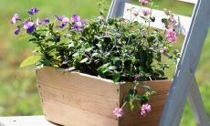 2021年备受欢迎的最热门朋友圈状态和微博流行语句子