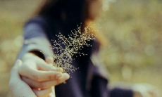 深情赞美家人互相相守、无私奉献的动人话语