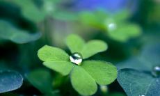 个：女性对男性的失望和失望感情表达：6种句子细致呈现