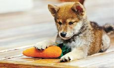 探索幸福之路的座右铭：如何创造属于自己的充实、有意义、充满喜悦的人生