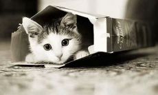 捧腹大笑的作业多幽默句子：分享搞笑作业多说说大全！