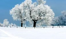 哪些句子能够生动描绘出冷冬季节的美妙景象？