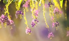 充满温暖的句子，表达亲情陪伴的重要性