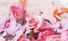 揭示了一个与家庭愈发疏离的社会现象